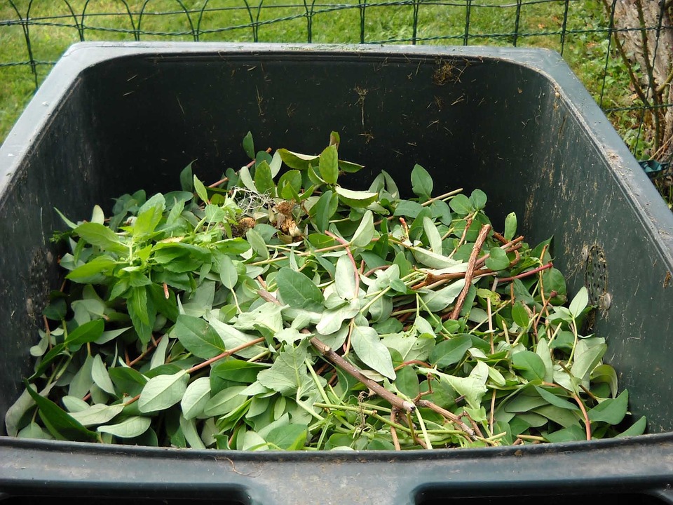 Ensure your Green Waste Collection