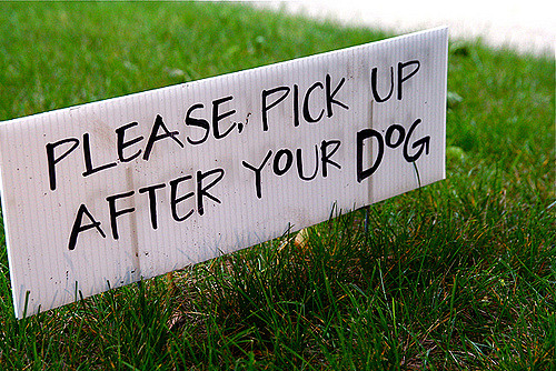 Costly to Mess with Dog Fouling Law