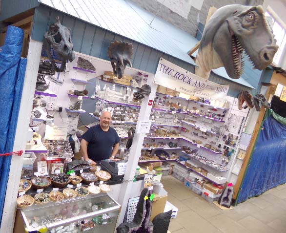 Rock and sales fossil shop