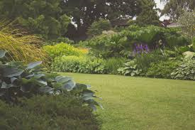 Seed Swap at Mount Grace Priory