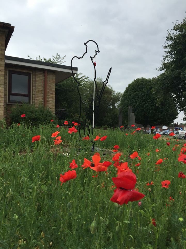 Poppy Display