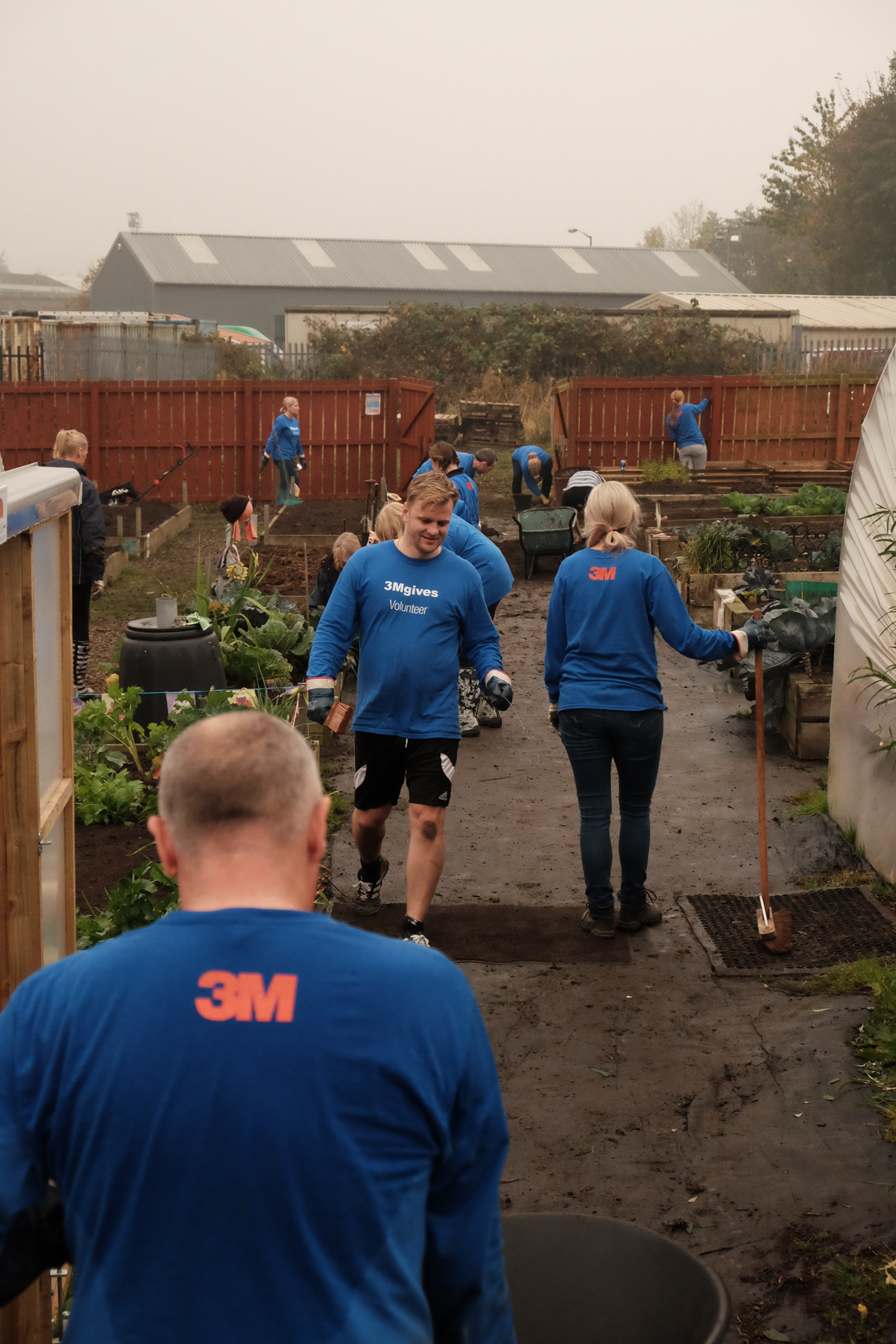 3M Volunteers Seek Community Tasks