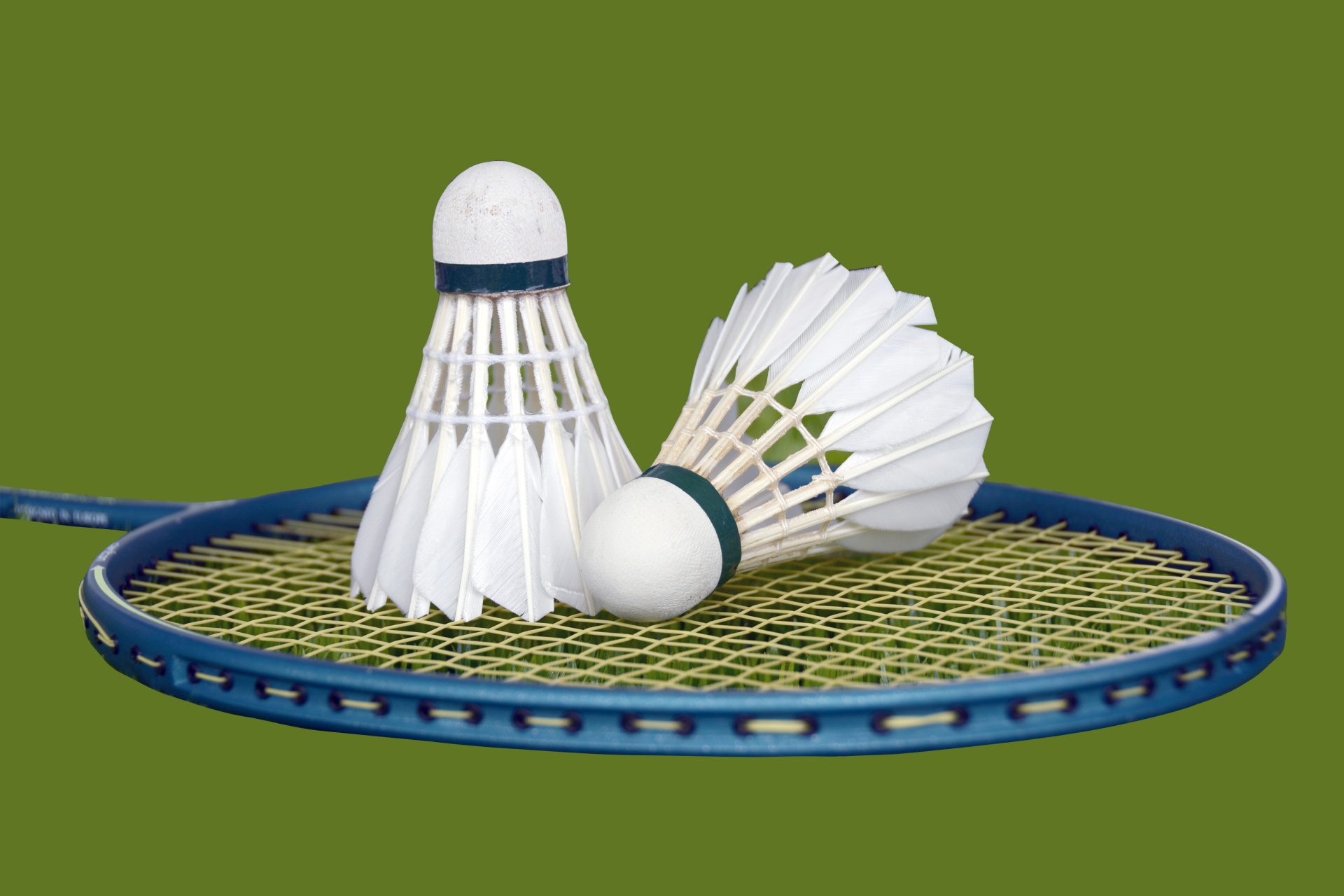 Badminton At Dolphin Centre