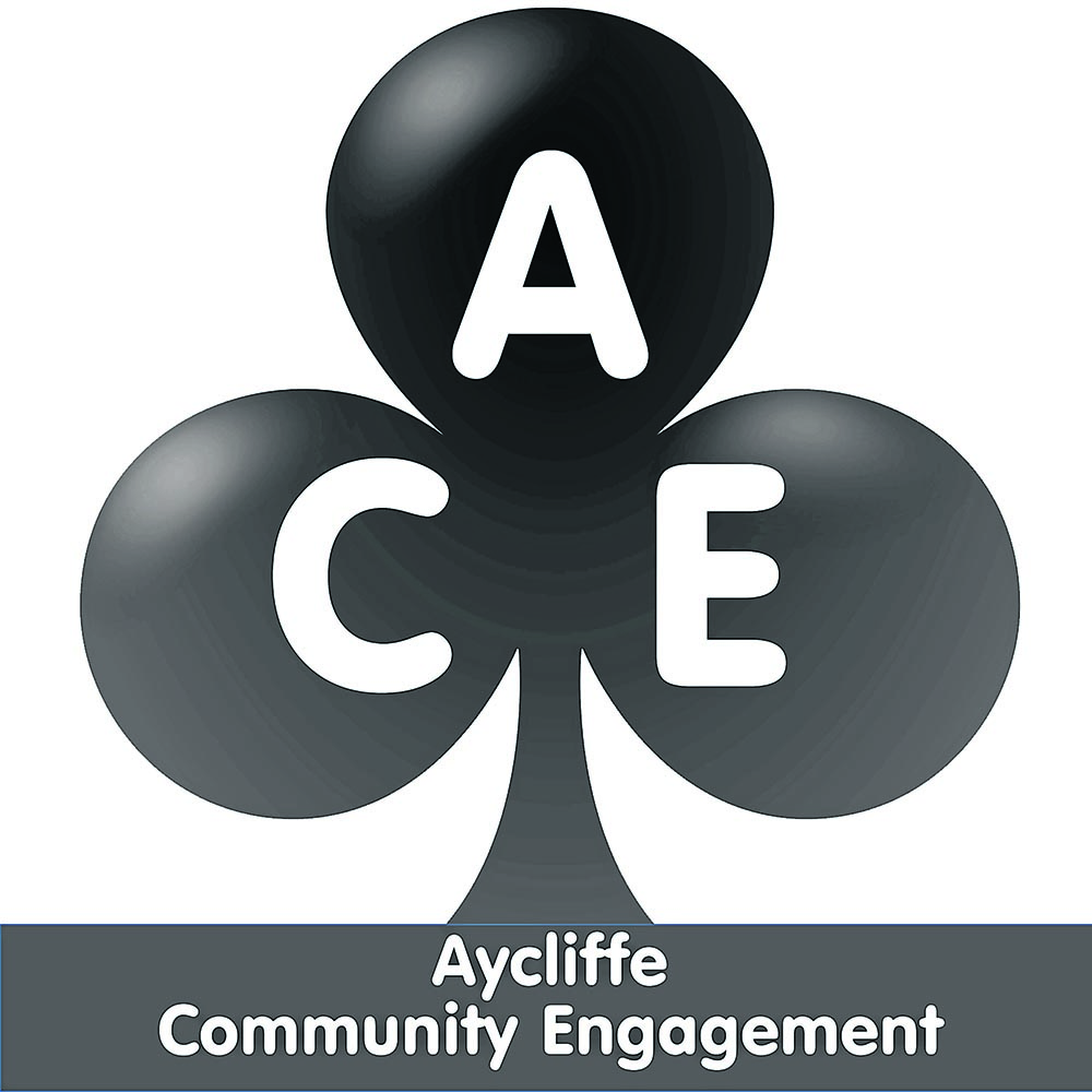 Ace Nominations