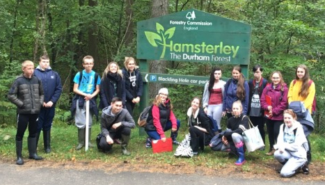 Fieldwork in Hamsterley Forest