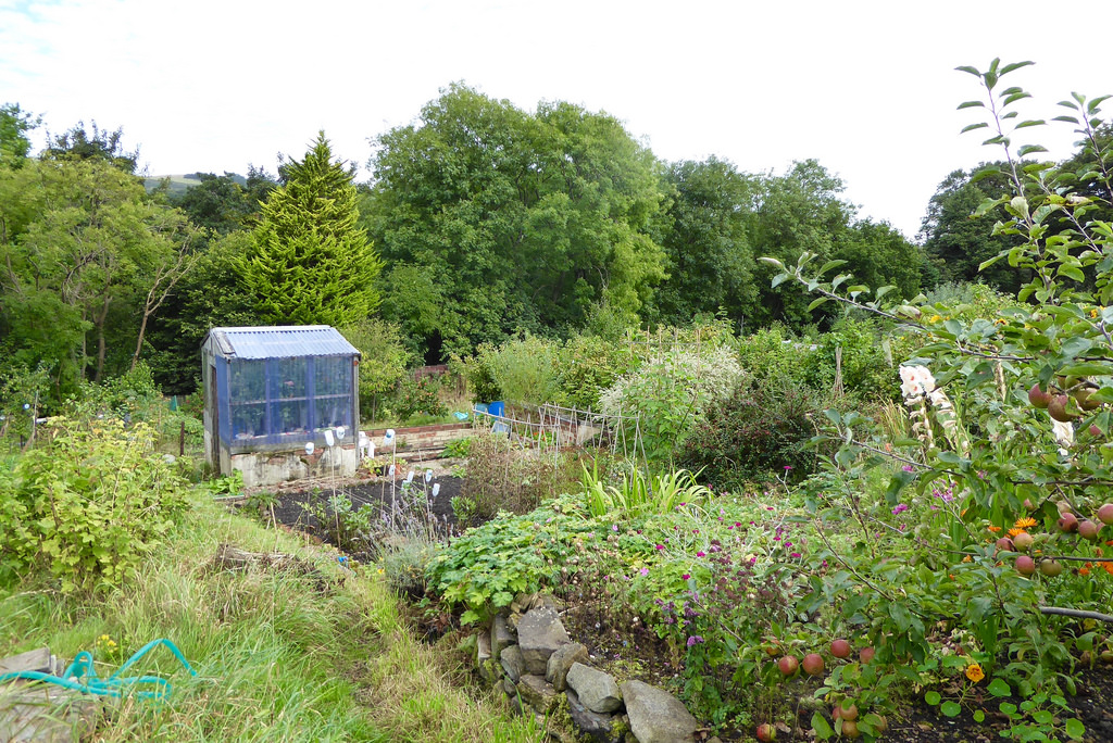 Still Time to Shape Allotment Policy in County