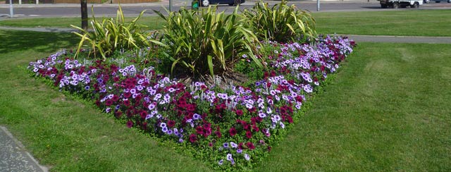 Northumbria in Bloom 2018