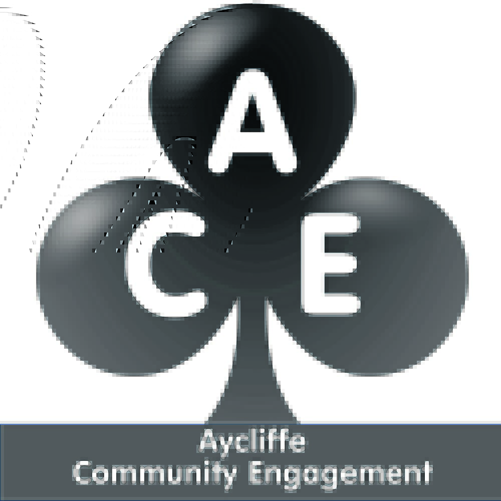 A.C.E. June Meeting