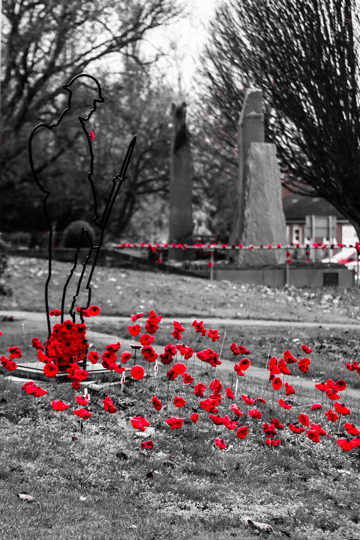 Remembrance Day Information