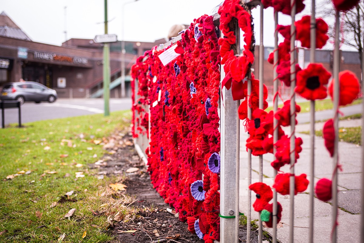 Poppy Removal