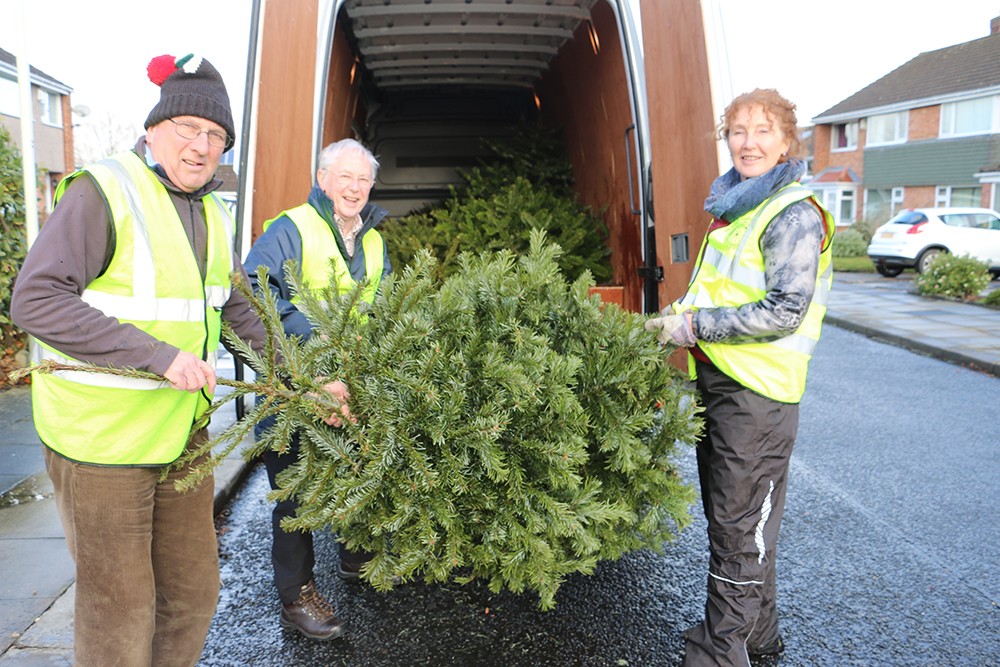 Xmas Tree Collection