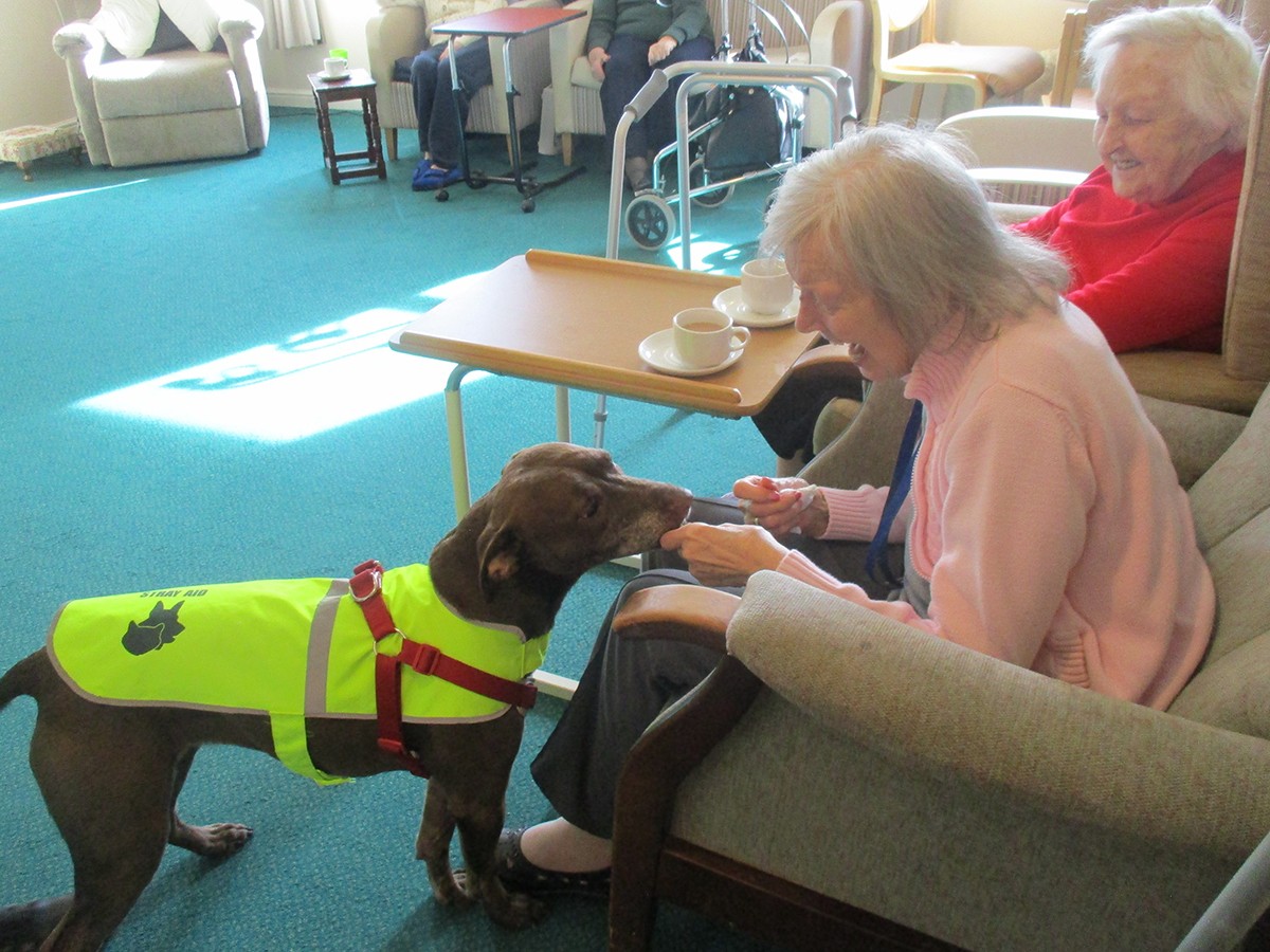 ‘Creature Comforts’ visit Care Home