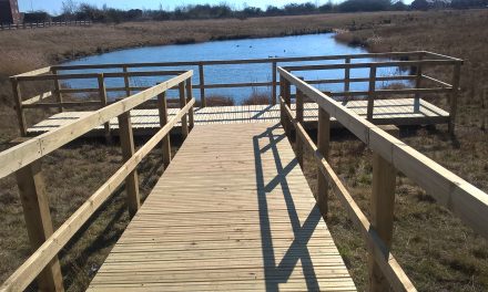 Cobblers Hall Lake, Beauty Spot or Danger Zone?