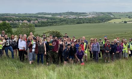 Walkers Enjoy Connecting With the Natural World