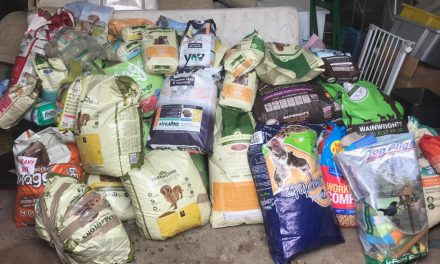 Junction7 Helping Families to Keep Their Pets