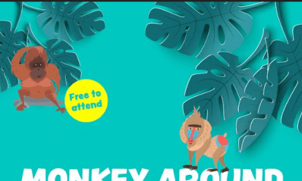 Monkey Around at the Cornmill Shopping Centre this summer