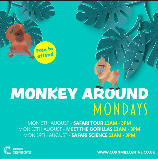 Monkey Around at the Cornmill Shopping Centre this summer