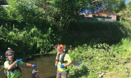 Site of Historic Bridge Targeted for Clean-Up
