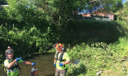 Site of Historic Bridge Targeted for Clean-Up