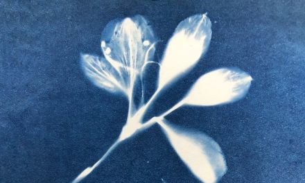 Cyanotype Workshop at Greenfield Arts