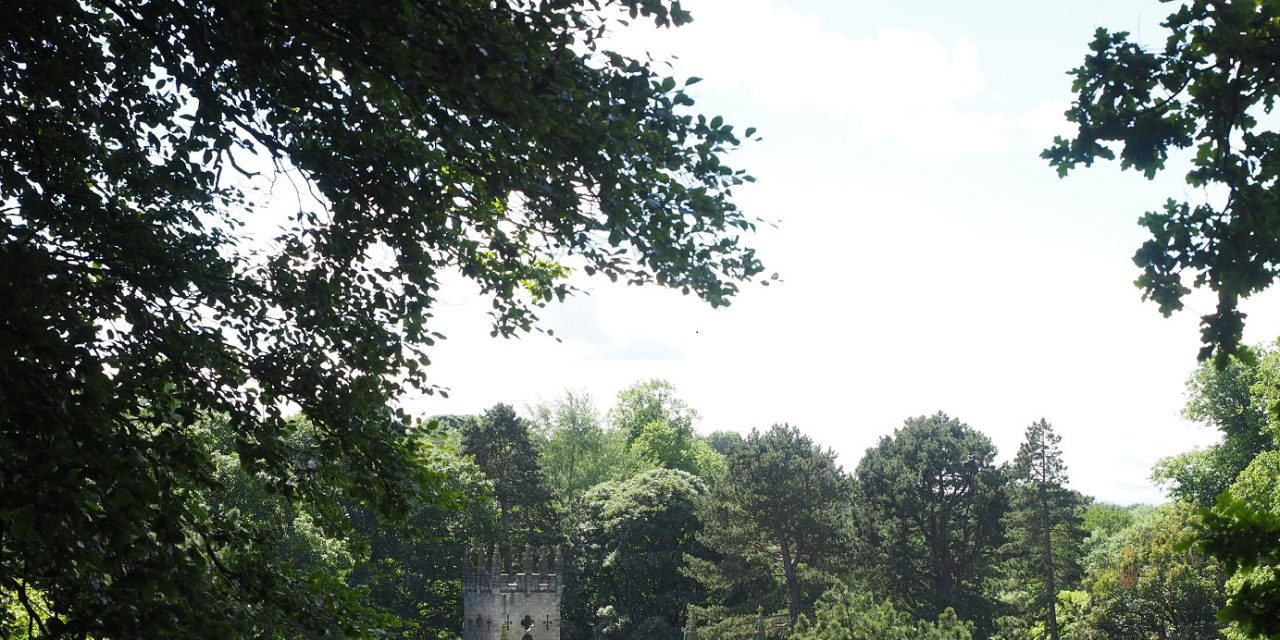 A Season of Activity and Inspiration in County Durham