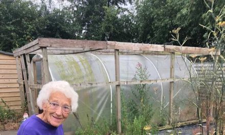 A Programme of Outdoor Activities for Dementia Patients