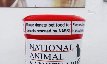 NASSL RESCUE DOGS