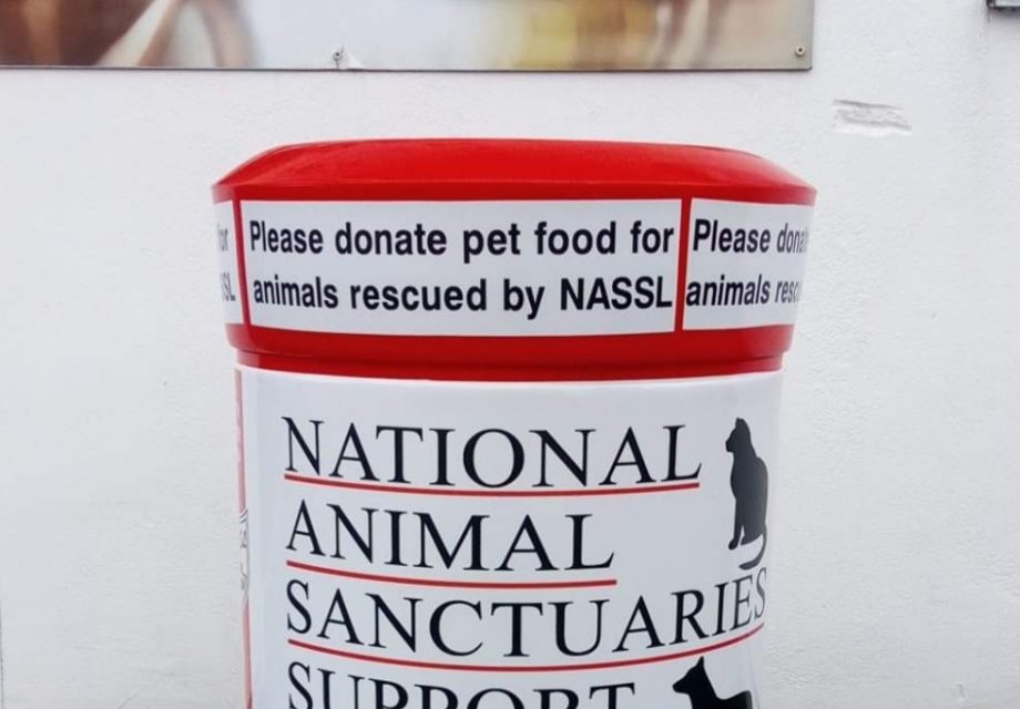 NASSL RESCUE DOGS