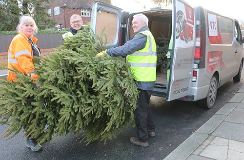 Tree Collection Raises Over £12,000