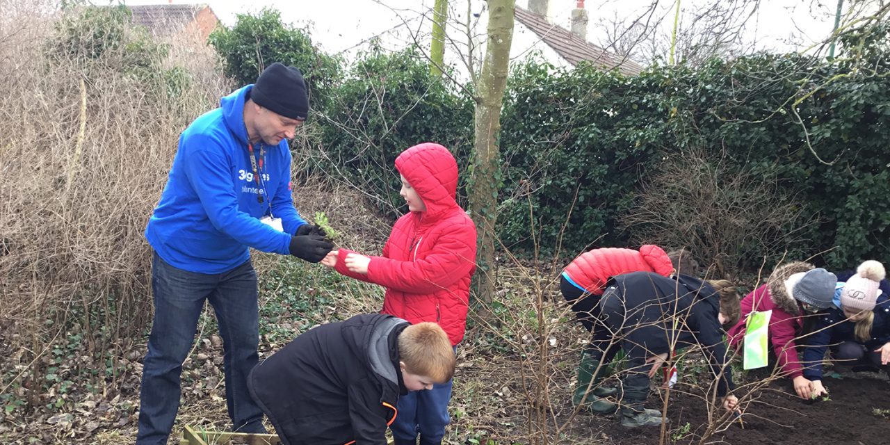 3M Staff Help School Children Plant a Wildflower Meadow