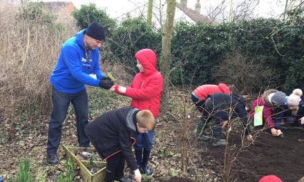 3M Staff Help School Children Plant a Wildflower Meadow