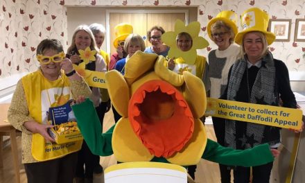 ‘Daffodil Volunteers’ Needed in Aycliffe