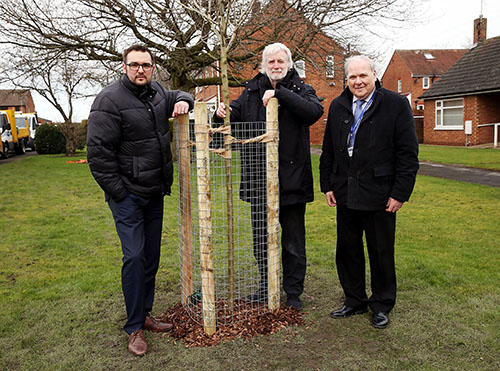Thousands of Trees to be Planted Across the County