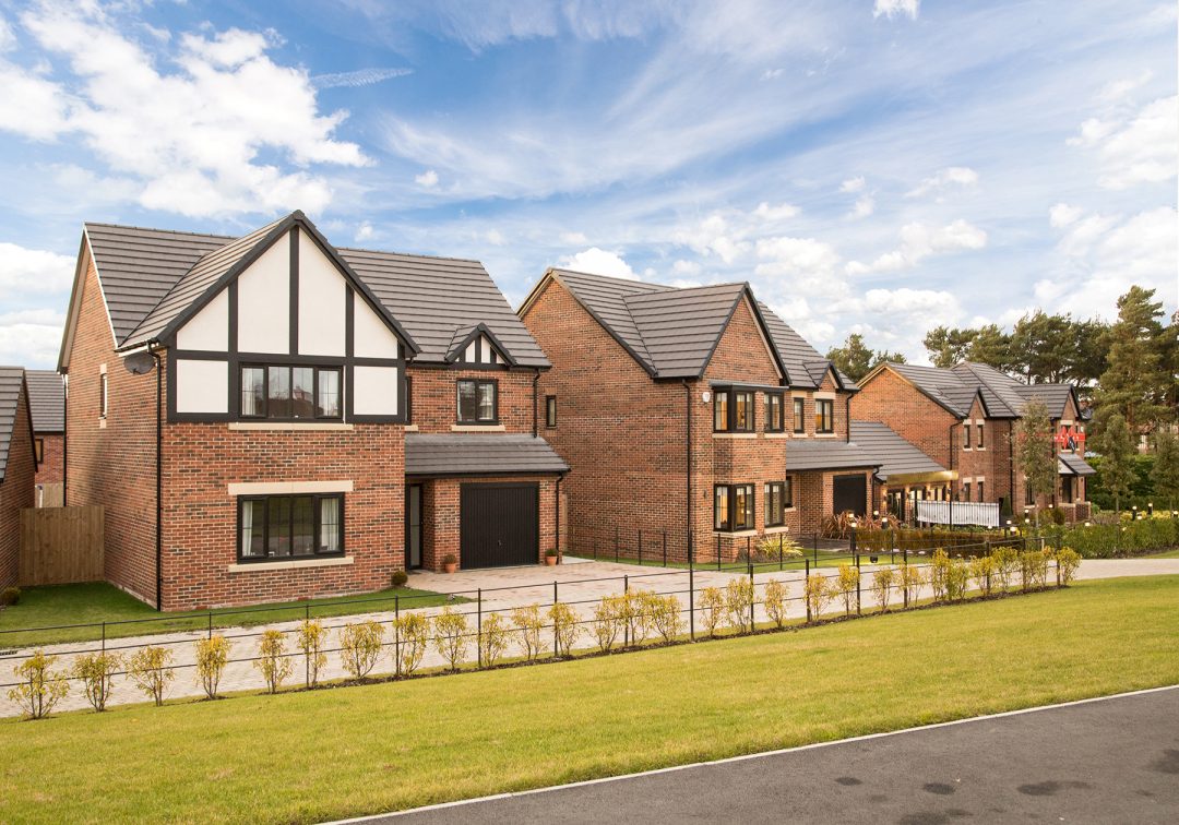 New Wynyard Housing Development Progress Newton News