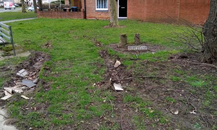 Cars Cause Damage to Grass Verges