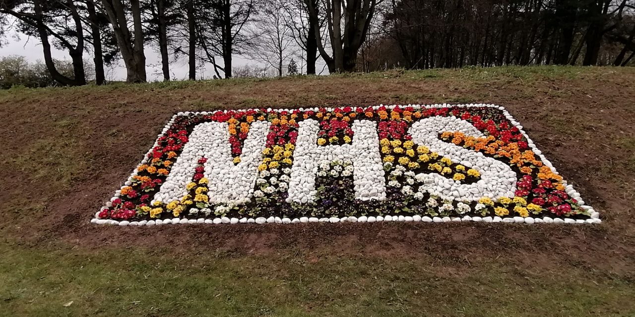 County Workers Say it with flowers