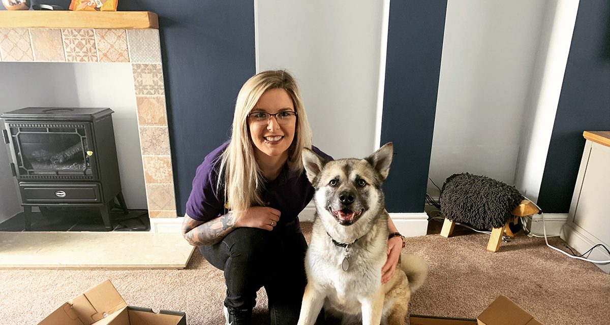 Eight Ways to Entertain Your Dog Newton News