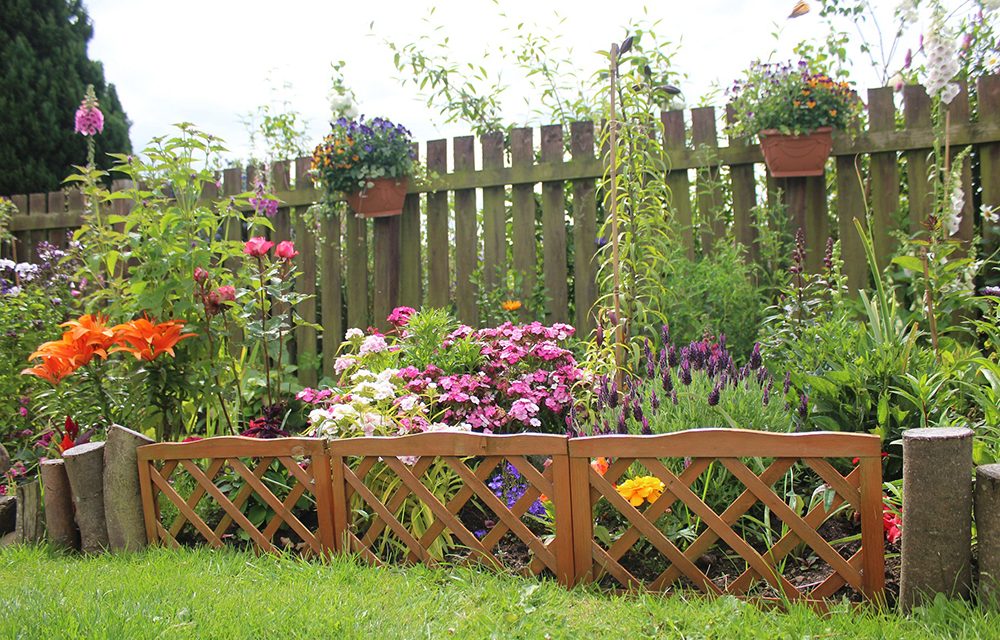 Search Begins for County Durham’s Most Improved Gardens