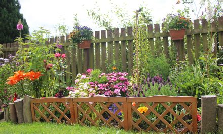 Search Begins for County Durham’s Most Improved Gardens
