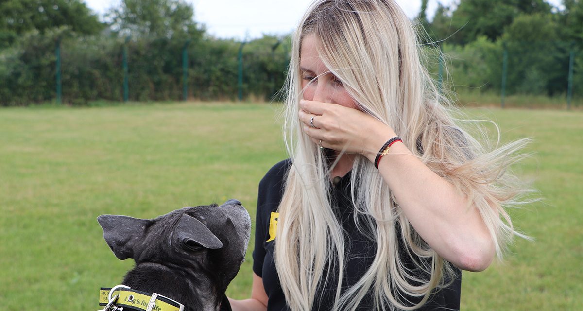 Helping Dogs Adjust When They Can’t See Our Faces