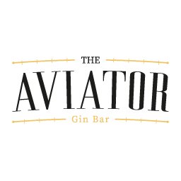 The New Aviator Beer Bar