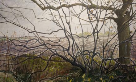 New Exhibition at Greenfield Arts