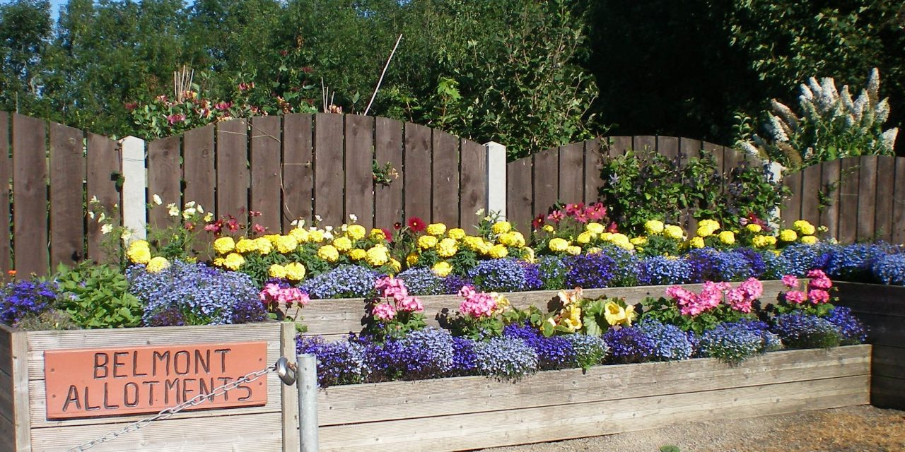 The green-fingered gardeners creating a Beautiful Durham