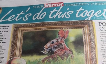 Local Artist Featured in Daily Mirror