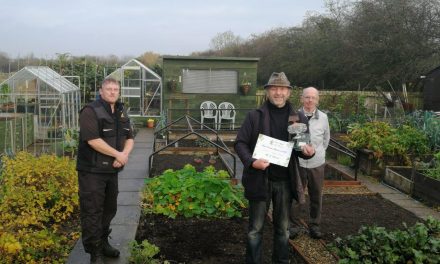 Town Council Allotment Awards 2020