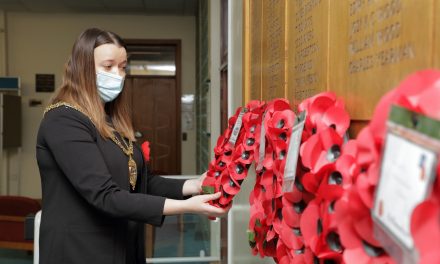 Virtual Remembrance Day events help keep communities safe