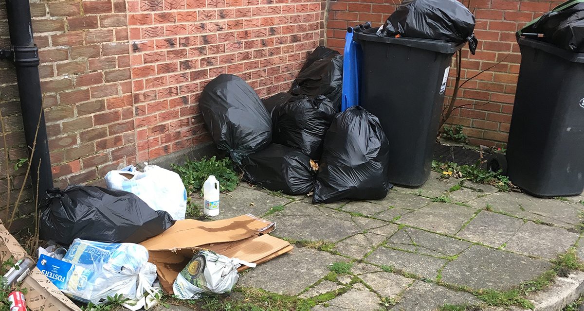 Fly Tipping Will Attract Vermin Around Shops