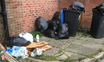 Fly Tipping Will Attract Vermin Around Shops