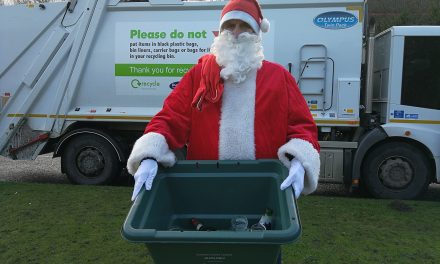 Festive refuse, recycling and tree collections