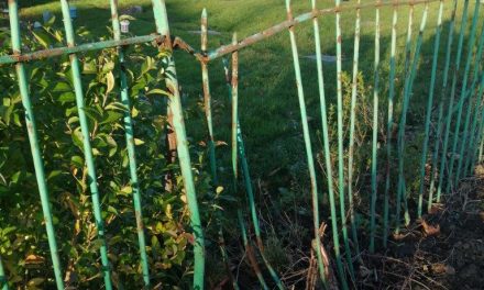 Cemetery Fencing Damaged